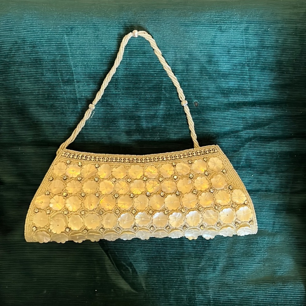 Brand new purse, unused. Bought in Mumbai at Amarson.